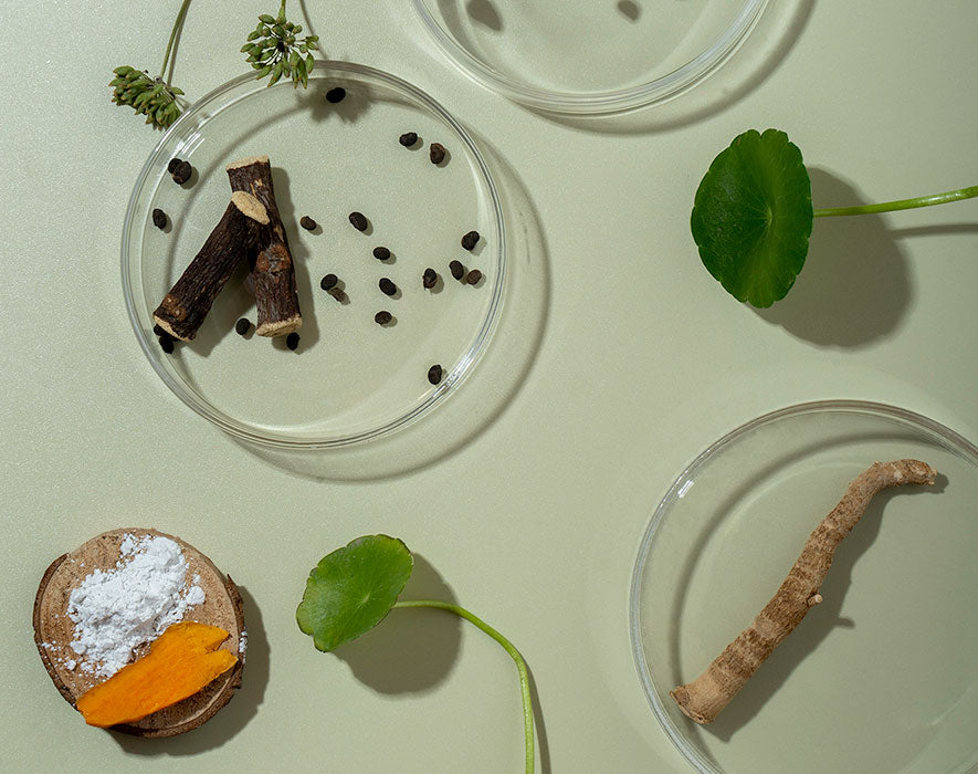 image of Plaktkos skincare clean and natural ingredients